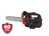 Бензопила ланцюгова Vitals Professional BKZ 2509r