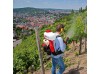 Обприскувач бензиновий SOLO 423