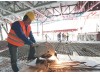 Монтажна пилка Metabo CS 23-355 + відрізний диск